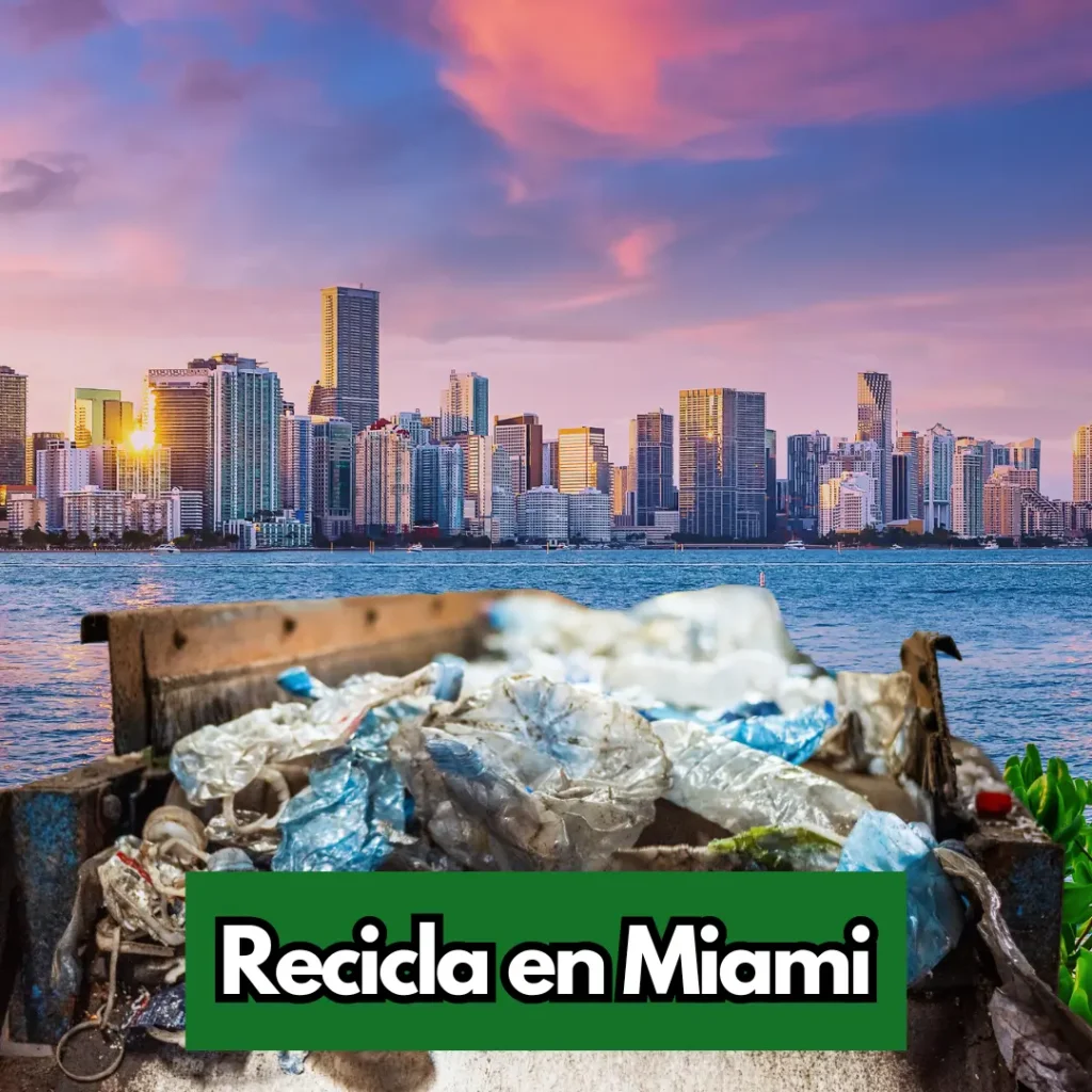 Reciclaje en miami